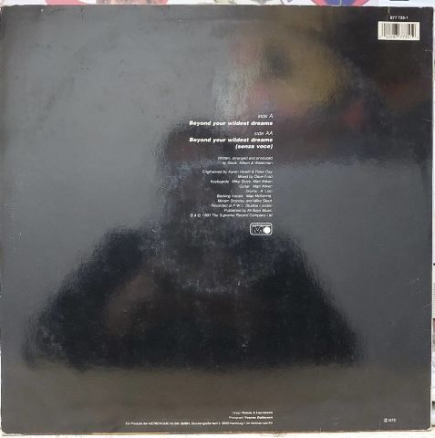 Lonnie Gordon – Beyond Your Wildest Dreams LP PLAK