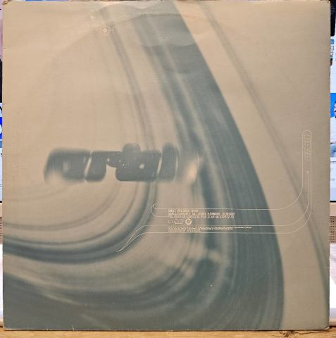 DJ Zuul – It's The Day After The Party LP PLAK