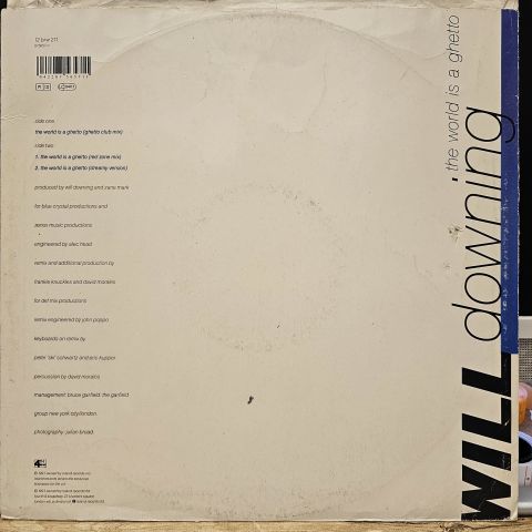 Will Downing – The World Is A Ghetto LP PLAK
