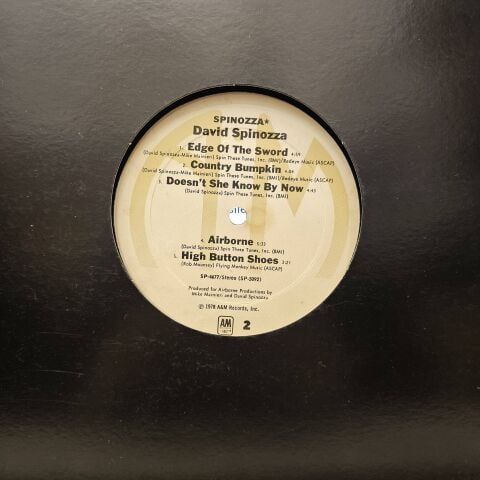 David Spinozza – Spinozza LP PLAK