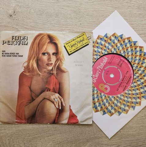 Ajda Pekkan – Ne Varsa Bende Var / Yere Bakan Yürek Yakan 45LİK PLAK