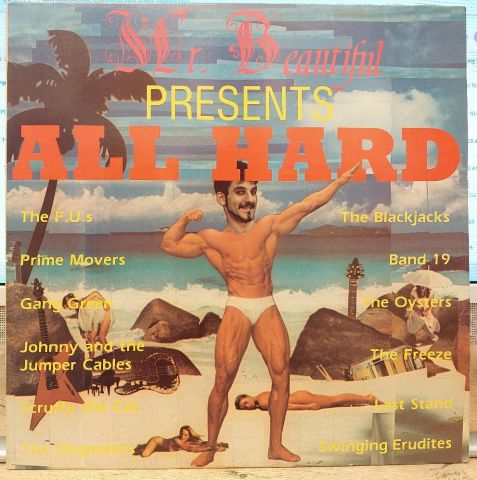 Various – Mr. Beautiful Presents All Hard LP PLAK