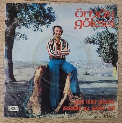 ÖMÜR GÖKSEL - YAŞADIM MI ÖLDÜM MÜ 45LİK PLAK
