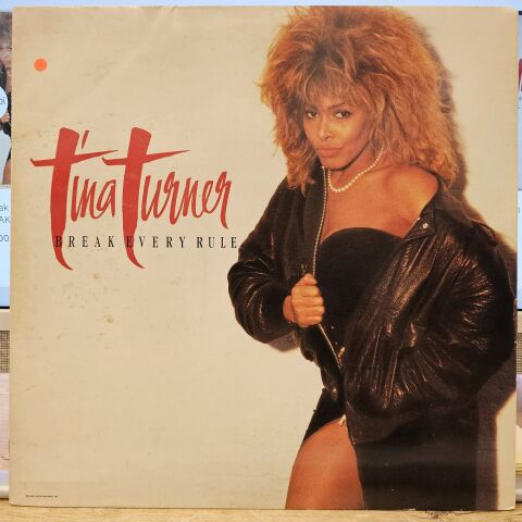 Tina Turner – Break Every Rule LP PLAK
