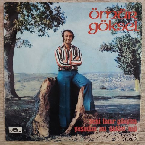 Ömür Göksel – Seni Tanır Gibiyim / Yaşadım Mı Öldüm Mü 45LİK PLAK