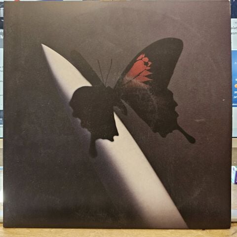 Post Malone – Twelve Carat Toothache LP PLAK