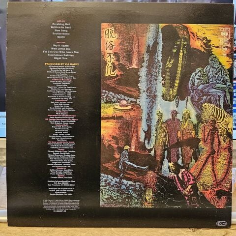 Santana – Beyond Appearances LP PLAK