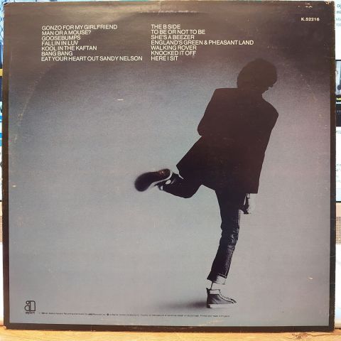 B. A. Robertson – Initial Success LP PLAK