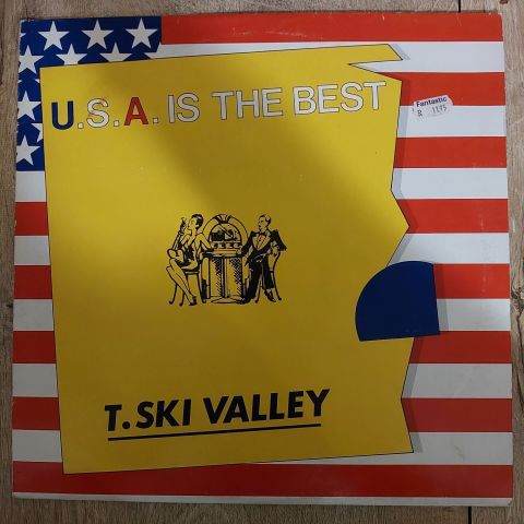 T-Ski Valley – The U.S.A. Is The Best LP PLAK