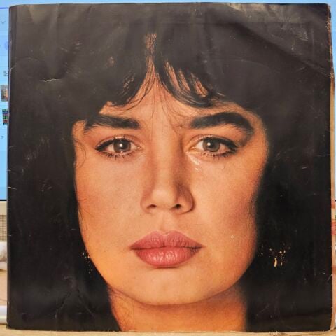 Sezen Aksu – Ağlamak Güzeldir LP PLAK