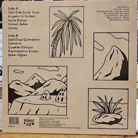 Altın Gün – On LP PLAK