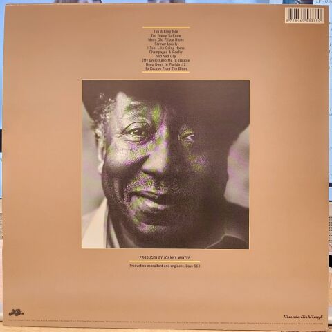Muddy Waters – King Bee LP PLAK