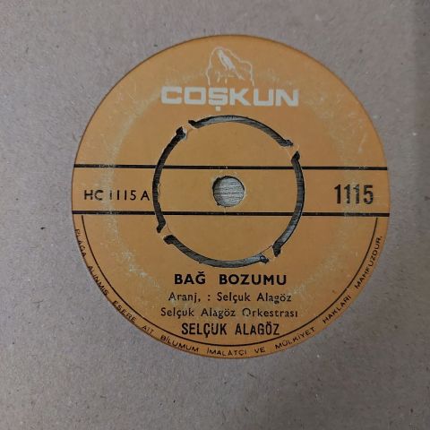 Selçuk Alagöz – Bağ Bozumu / Edremit Van'a Bakar 45LİK PLAK
