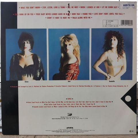 Exposé – What You Don't Know LP PLAK