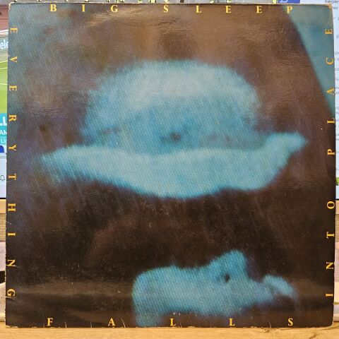 Big Sleep – Everything Falls Into Place LP PLAK