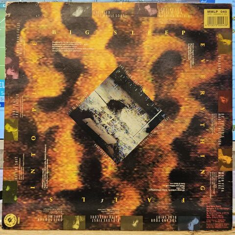 Big Sleep – Everything Falls Into Place LP PLAK