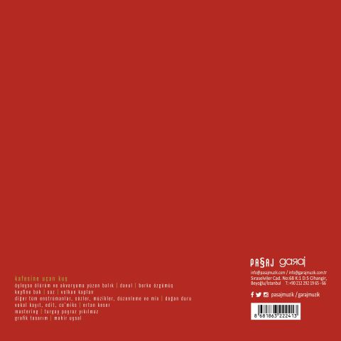 Doğan Duru - Kafesine Uçan Kuş LP PLAK