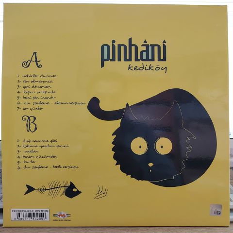 PİNHANİ - KEDİKÖY LP PLAK