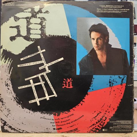 Rick Springfield – Tao LP PLAK