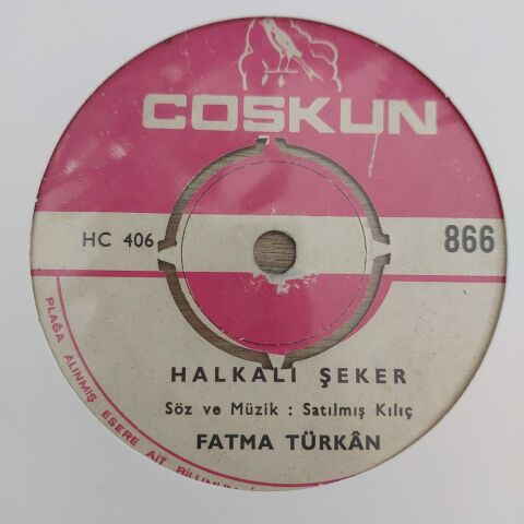 FATMA TÜRKAN - HASTANE ÖNÜNDE İNCİR AĞACI 45LİK PLAK