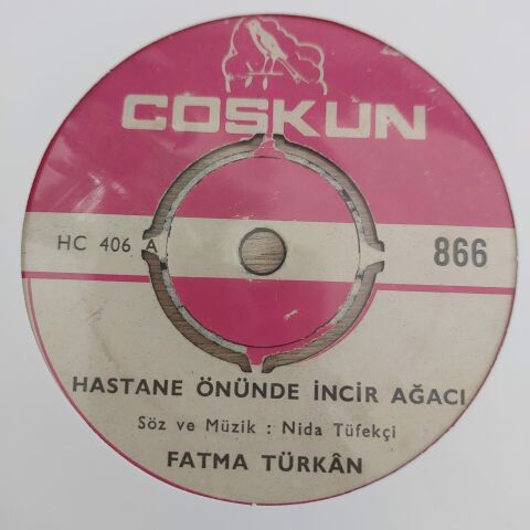 FATMA TÜRKAN - HASTANE ÖNÜNDE İNCİR AĞACI 45LİK PLAK