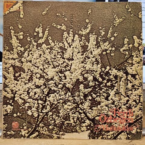 Ferdi Özbeğen – Mutluluklar LP PLAK