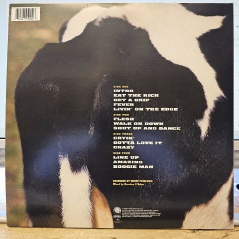 Aerosmith – Get A Grip LP PLAK (RENKLİ PLAKLAR BEYAZ)