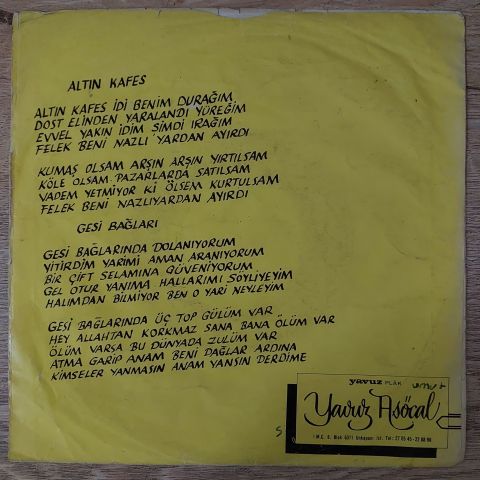 Selda Bağcan – Altın Kafes / Gesi Bağları 45LİK PLAK