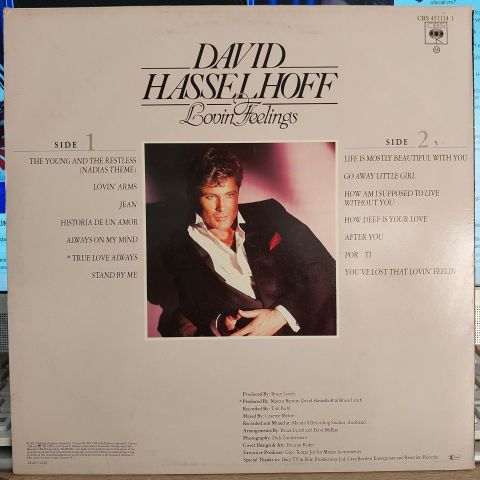 David Hasselhoff – Lovin Feelings LP PLAK