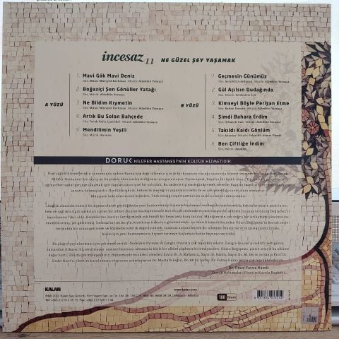 İNCE SAZ - 11 NE GÜZEL ŞEY YAŞAMAK LP PLAK