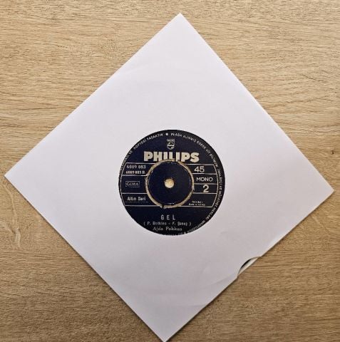 Ajda Pekkan – Yalnızlıktan Bezdim / Gel 45LİK PLAK