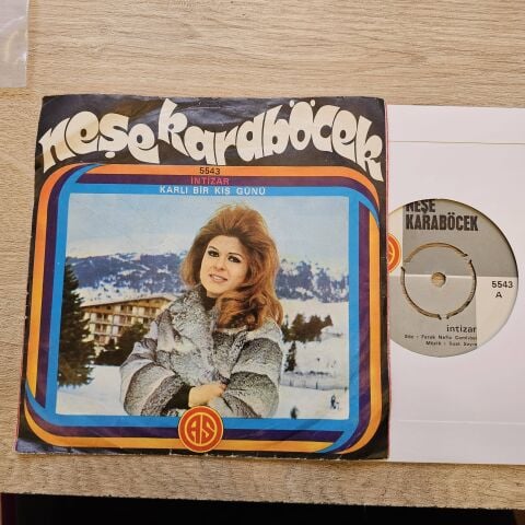 Neşe Karaböcek – İntizar / Karlı Bir Kış Günü 45LİK PLAK