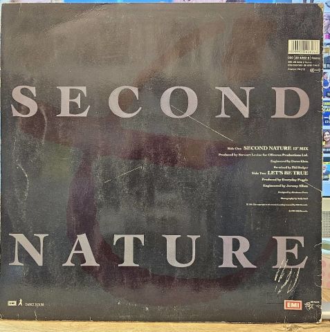 Everyday People – Second Nature LP PLAK