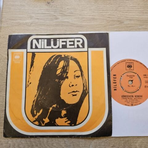 Nilüfer – Göreceksin Kendini / Aldanırım Sanma 45LİK PLAK