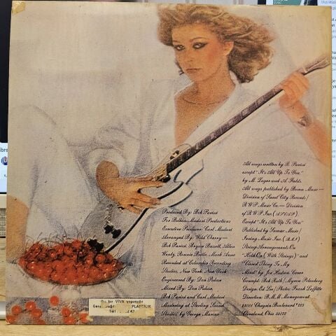 Wild Cherry – Electrified Funk LP PLAK