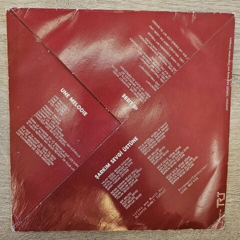 Seyyal Taner & Grup Lokomotif – Şarkım Sevgi Üstüne 45LİK PLAK