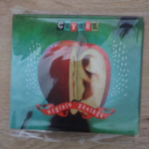 EZGİNİN GÜNLÜĞÜ - ÇEYREK CD