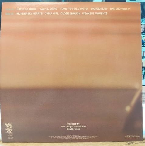 John Cougar – American Fool LP PLAK