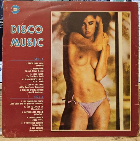 Various – Disco Music LP PLAK
