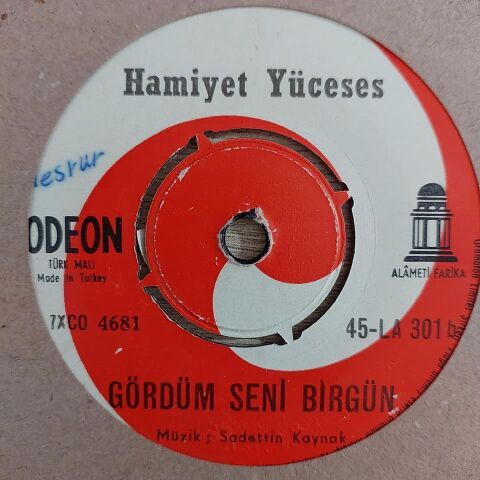 HAMİYET YÜCESES - GÖRDÜM SENİ BİRGÜN 45LİK PLAK