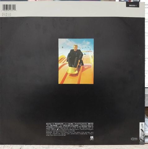 Black – Wonderful Life LP PLAK