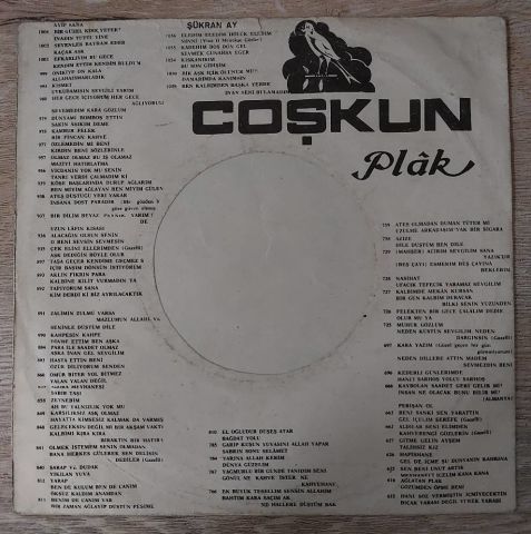 Şükran Ay – Kıskanırım / Hasta Kalbimde Yaşarsın 45LİK PLAK