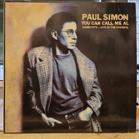 Paul Simon – You Can Call Me Al LP PLAK