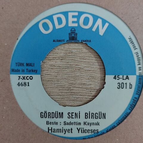 HAMİYET YÜCESES - GÖRDÜM SENİ BİRGÜN 45LİK PLAK
