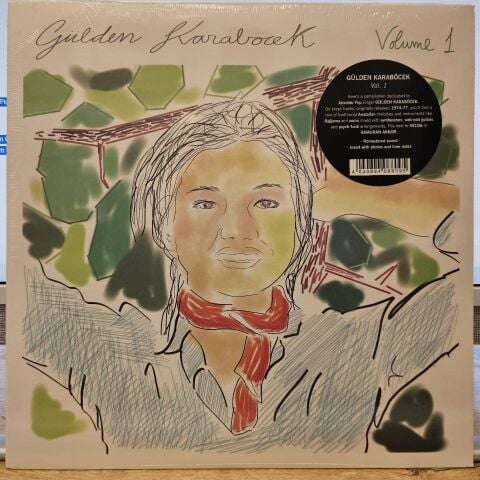 Gülden Karaböcek – Volume 1 LP PLAK