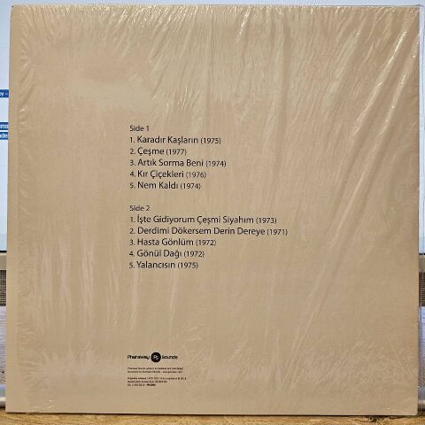 Gülden Karaböcek – Volume 1 LP PLAK