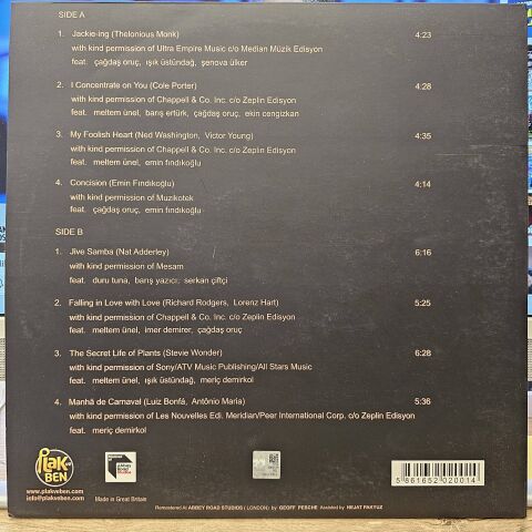 Emin Fındıkoğlu + 12 Concision LP PLAK