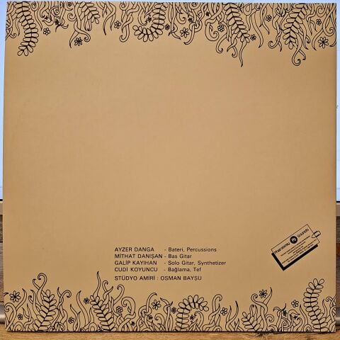 Edip Akbayram, Dostlar – Nedir Ne Değildir? LP PLAK