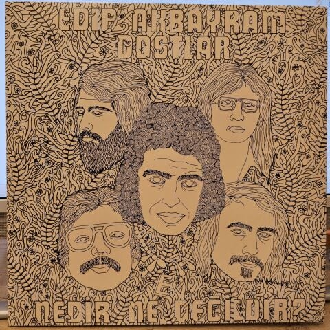 Edip Akbayram, Dostlar – Nedir Ne Değildir? LP PLAK