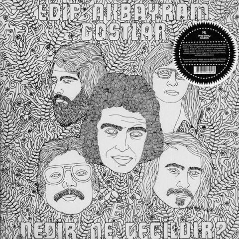 Edip Akbayram, Dostlar – Nedir Ne Değildir? LP PLAK